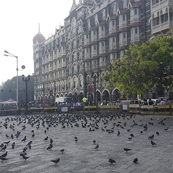 2013印度蒙買(溫州汽配出口企業(yè)考查)